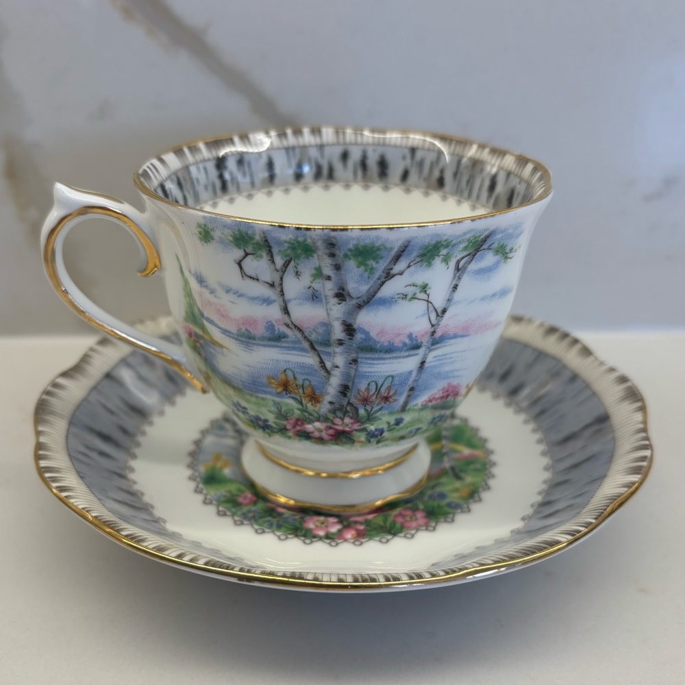 VINTAGE Royal Albert Silver Birch Tea Cup and Saucer